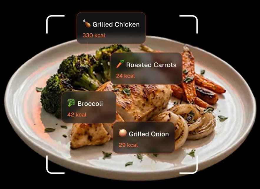 Food Plate Analysis